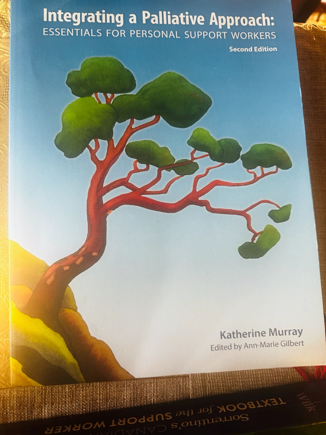 Integrating a Palliative Approach Second Edition Book - photo 2