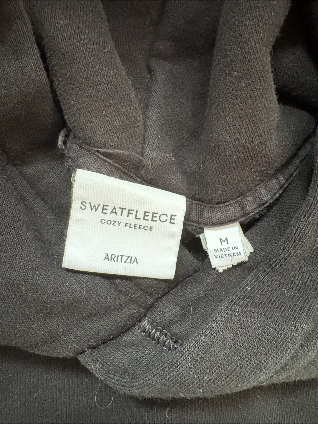 Aritzia Perfect Fit Hoodie - photo 2