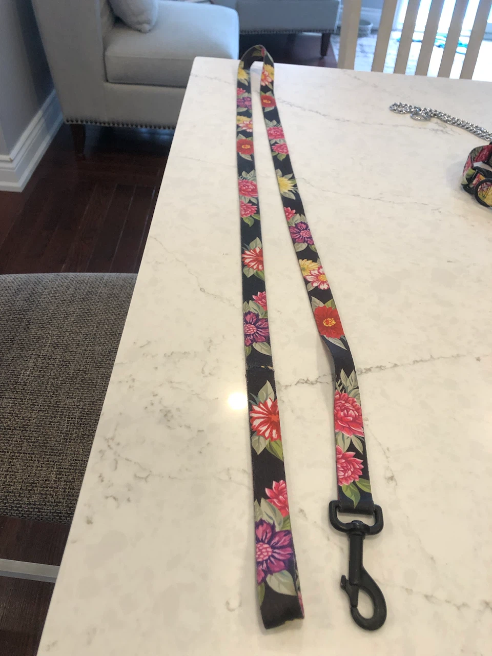 3 piece Wolfgang Man & Beast Floral Dog Harness and Leash Set