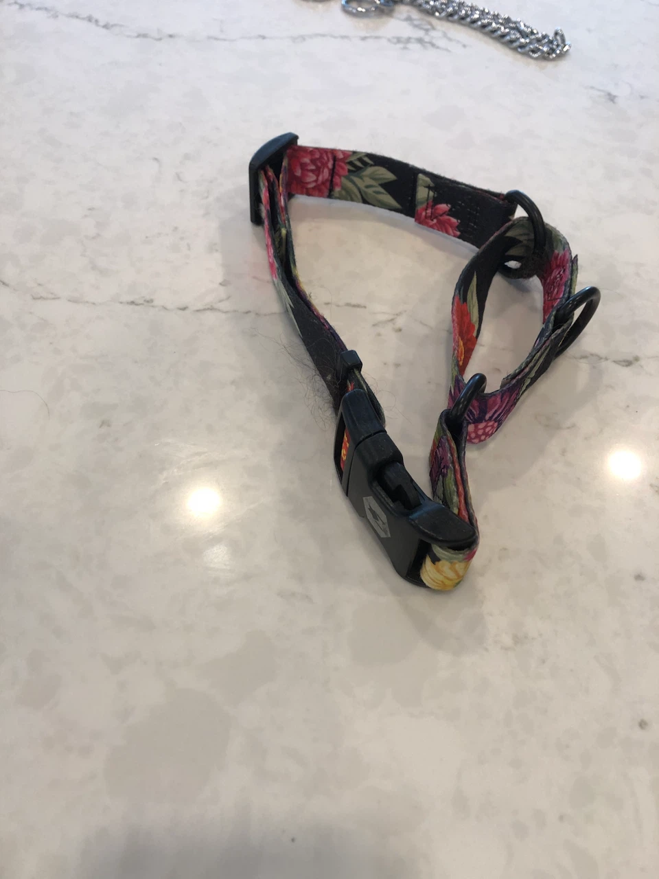 3 piece Wolfgang Man & Beast Floral Dog Harness and Leash Set - photo 2