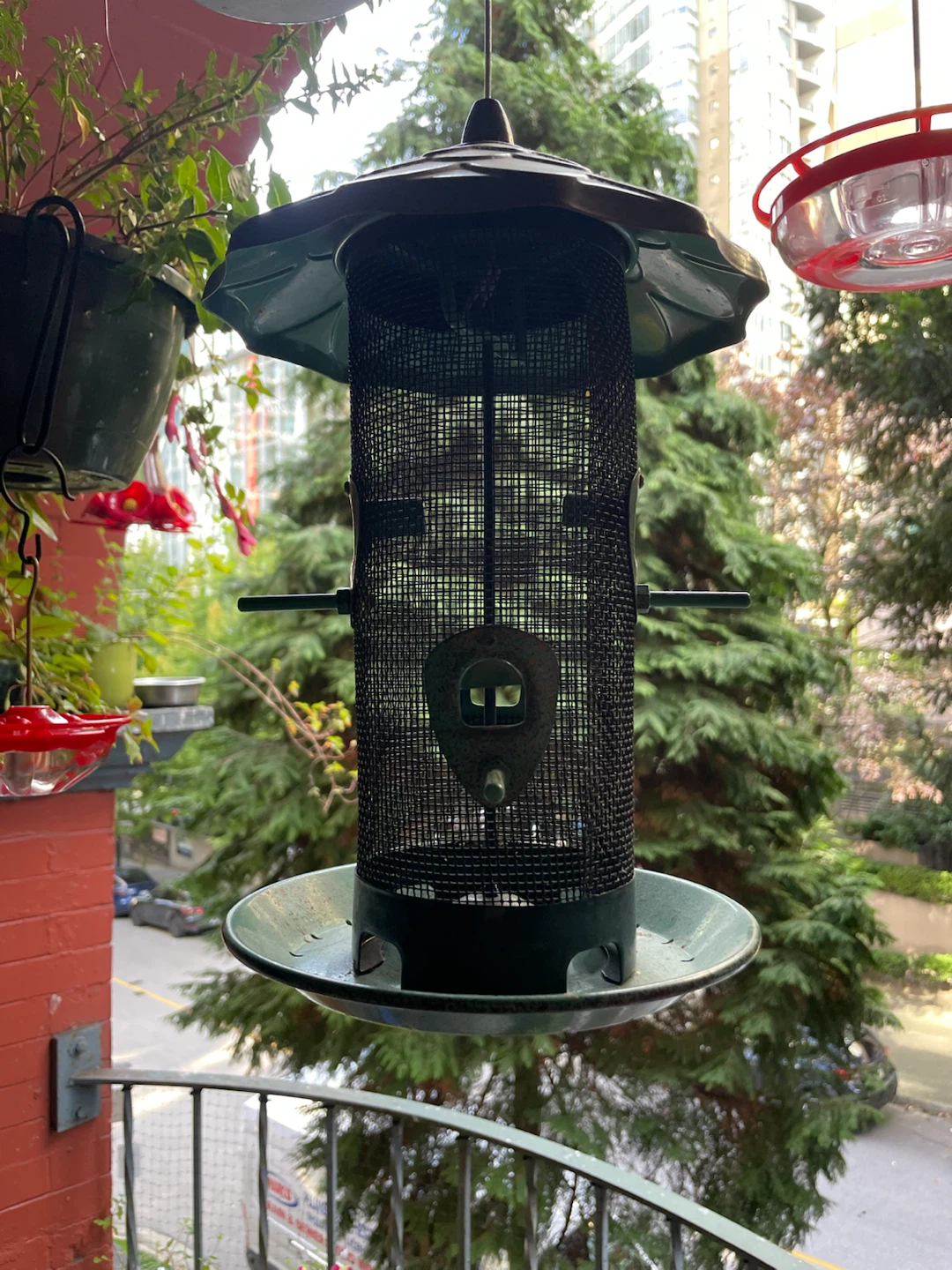 Bird feeder