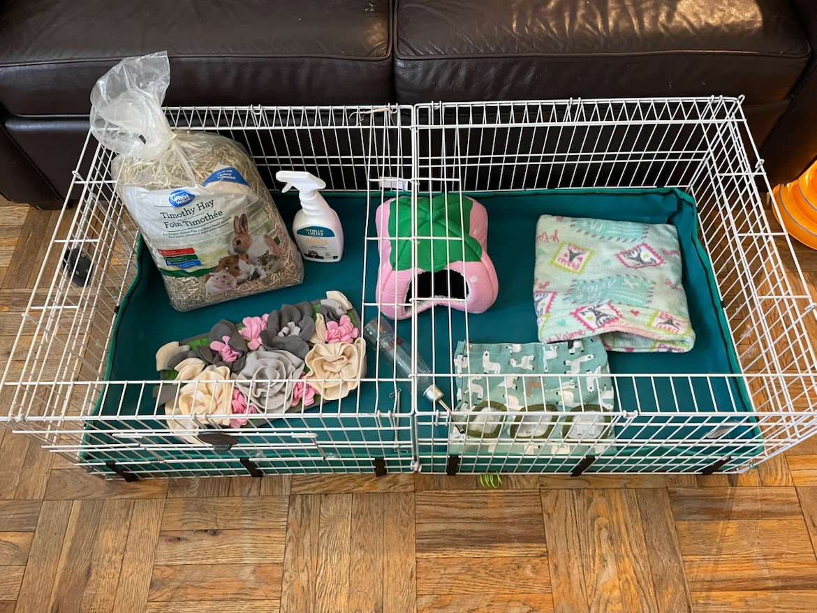Guinea Pig Cage & Supplies Lot