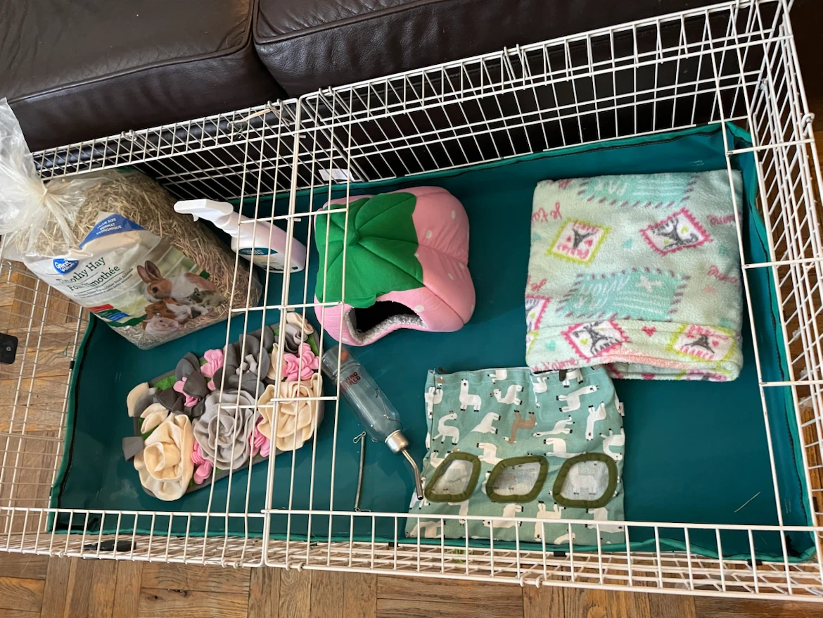 Guinea Pig Cage & Supplies Lot - photo 2