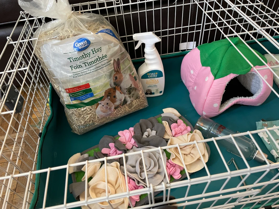 Guinea Pig Cage & Supplies Lot - photo 3