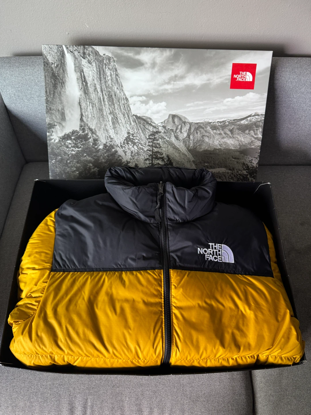 Northface jacket 700