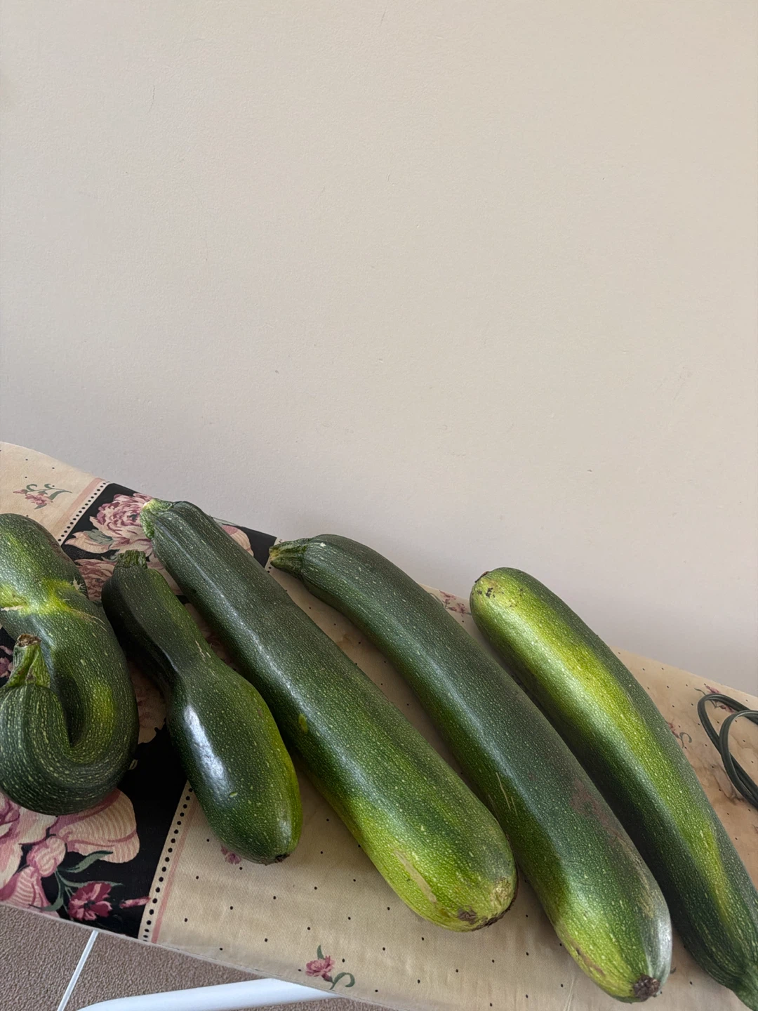 Zucchini’s