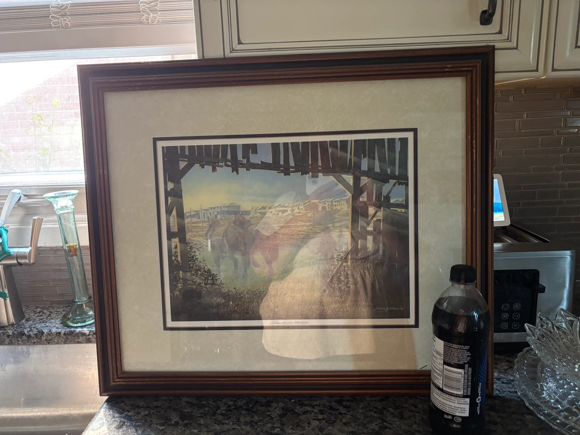 James Lumbers Abandoned Heritage Framed Print - photo 2