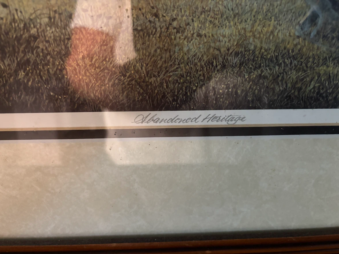 James Lumbers Abandoned Heritage Framed Print - photo 3