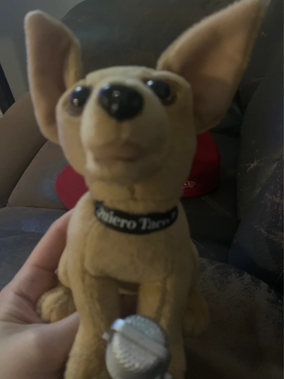 $15 Taco Bell chihuahua plush with sound