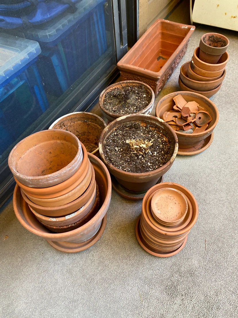 Assorted Terracotta Flower Pots and Saucers
