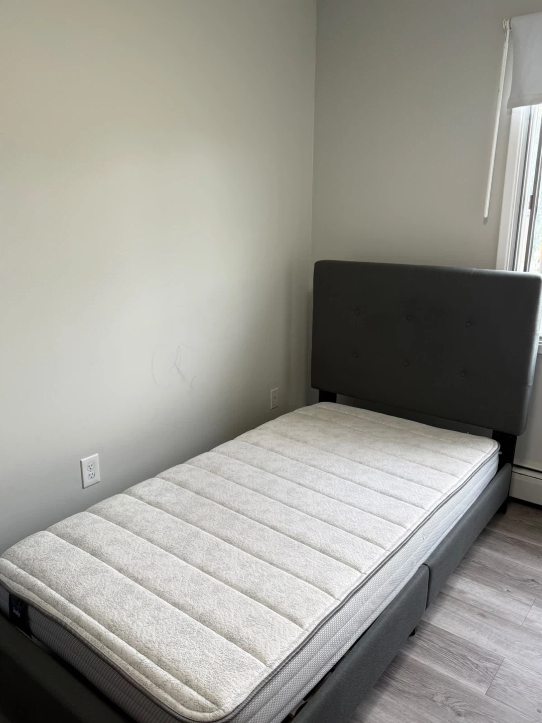 Bed Frame and Mattress