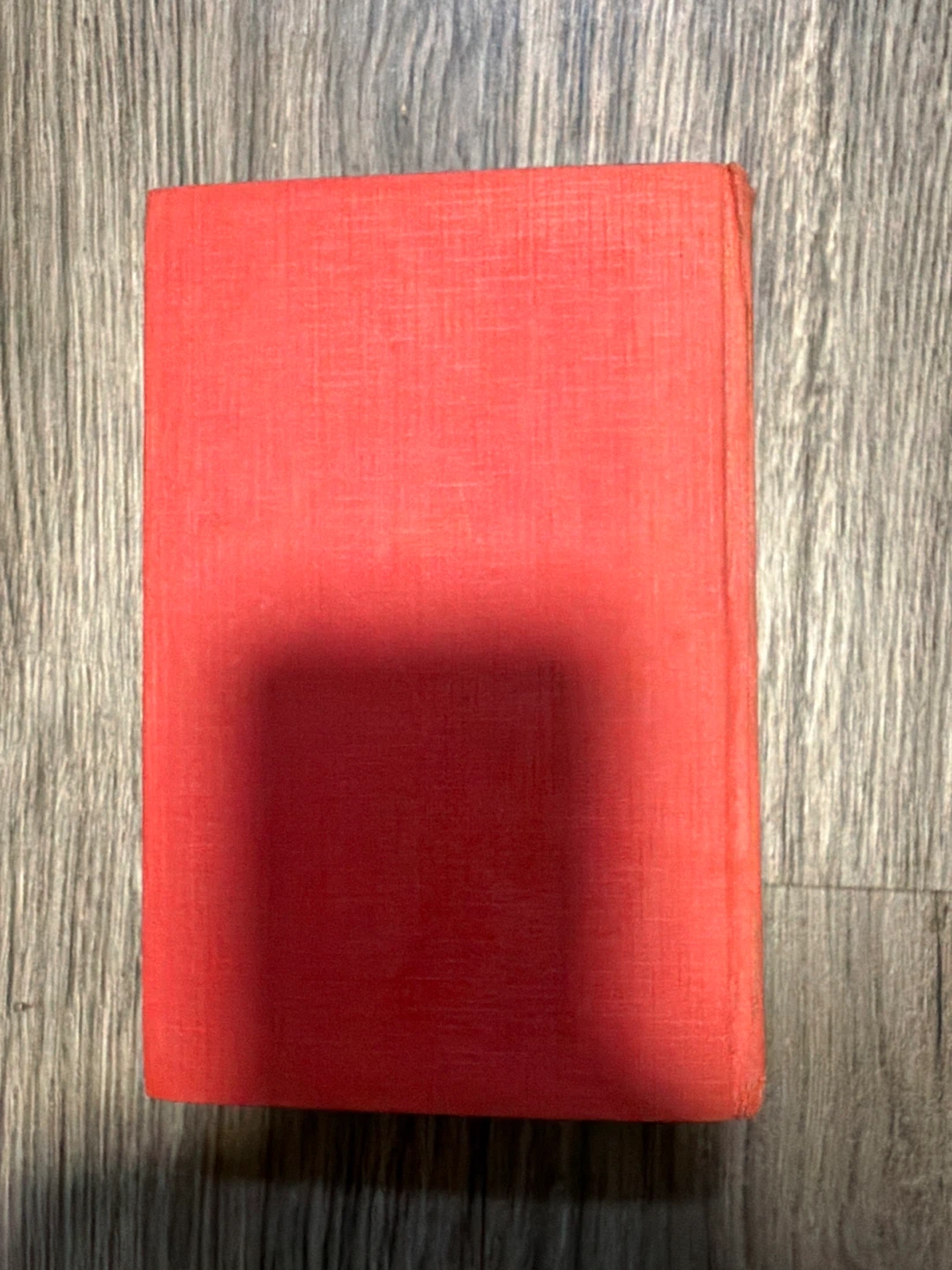 A Boy Scout's Discovery by George Durston - photo 3