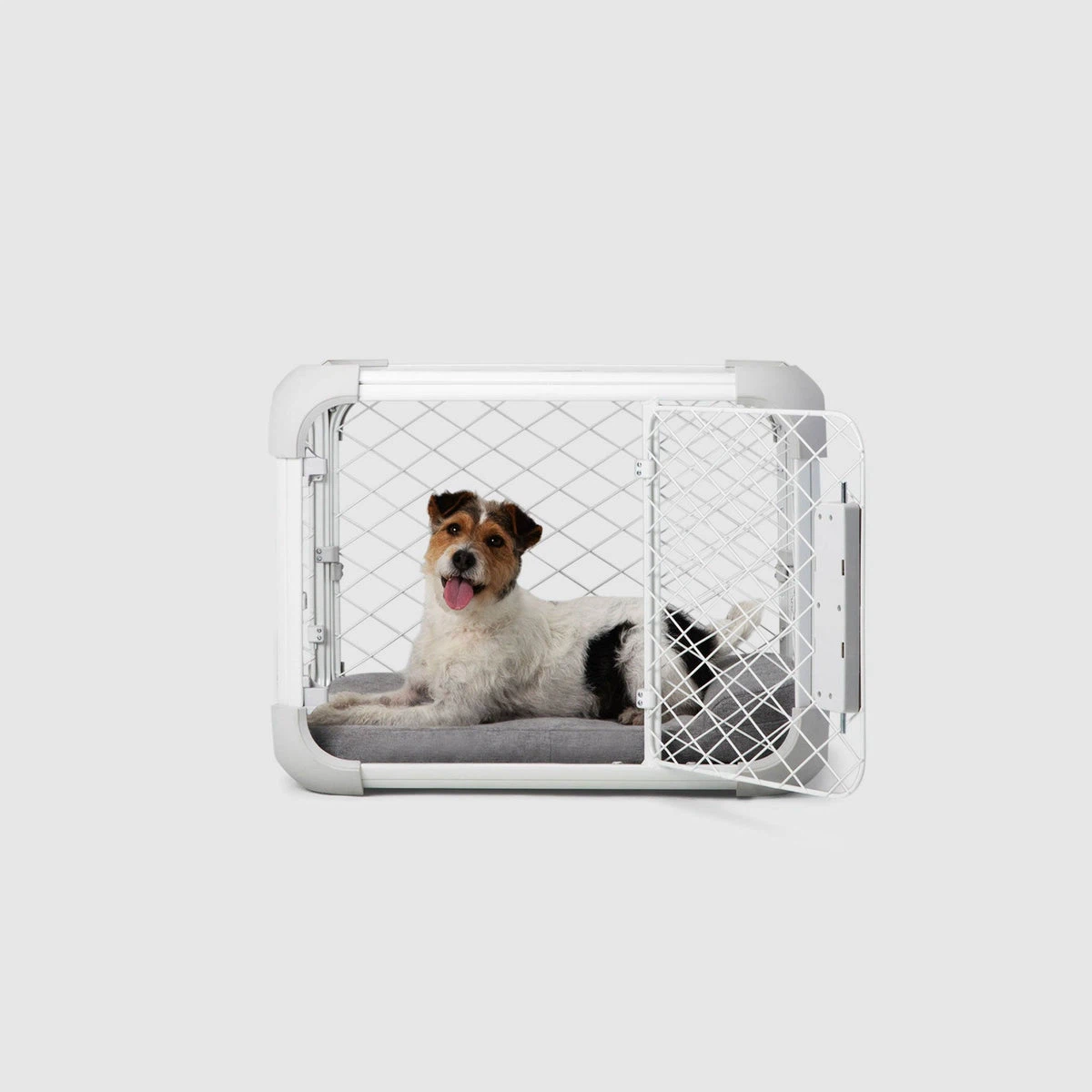Diggs Evolv Dog Crate t+ Divider + Bed (small) - photo 4