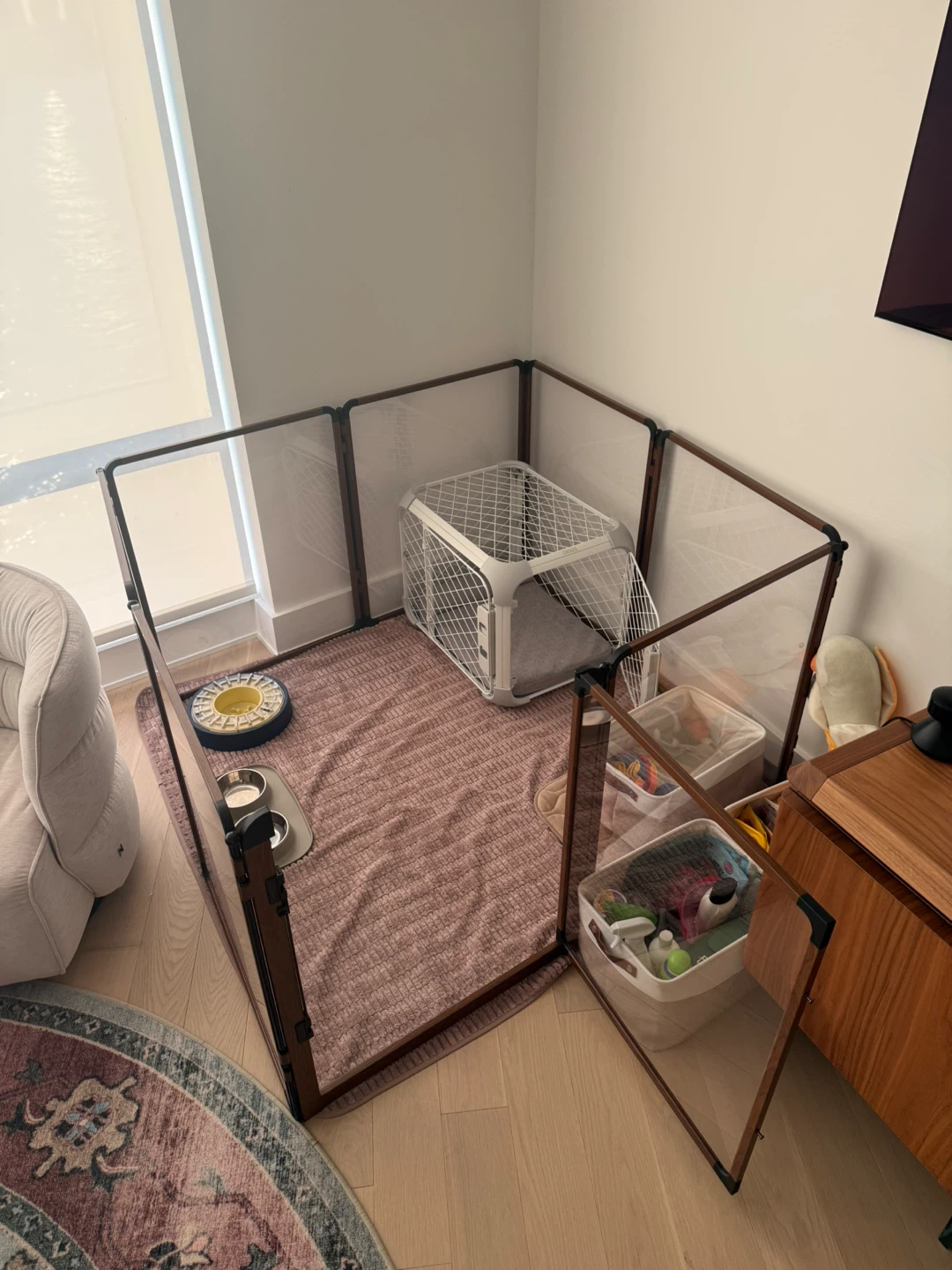 Diggs Evolv Dog Crate t+ Divider + Bed (small) - photo 5