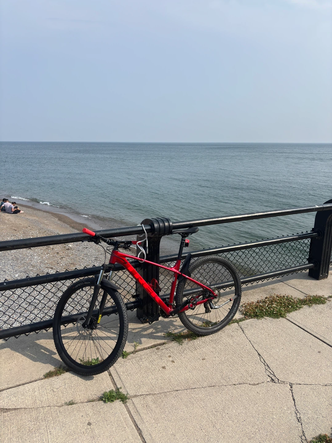 Trek Marlin 4 Bike (L) bundle