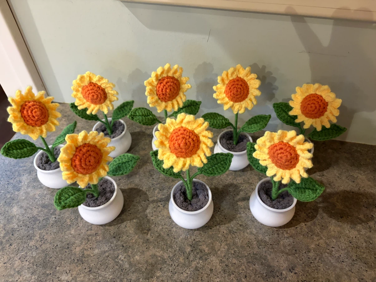 Sunflowers in pots - photo 5
