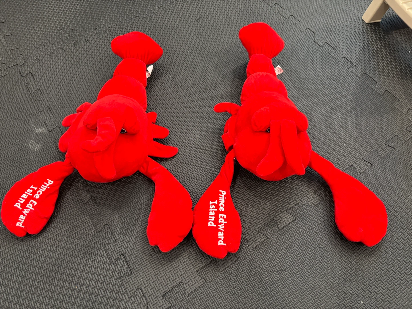 Two Prince Edward Island Lobster Plush Toys
