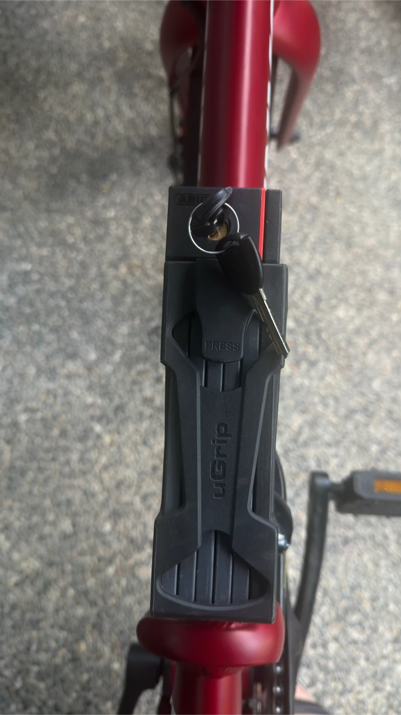 ENVO Lynx 20 Foldable EBike (matte red) - photo 2