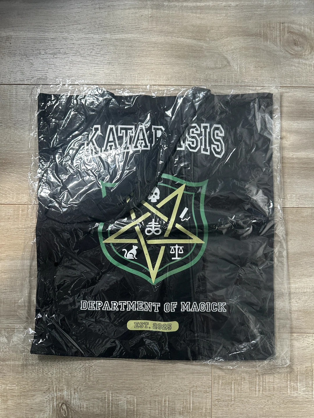 Katabasis Tote Bag and Pin - photo 2