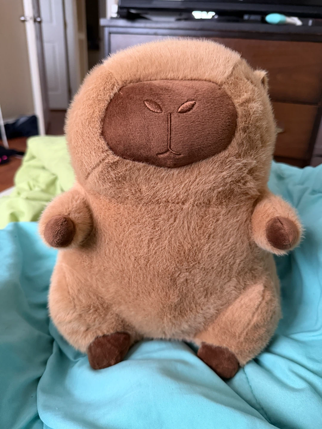 Squishmallows Capybara Plush