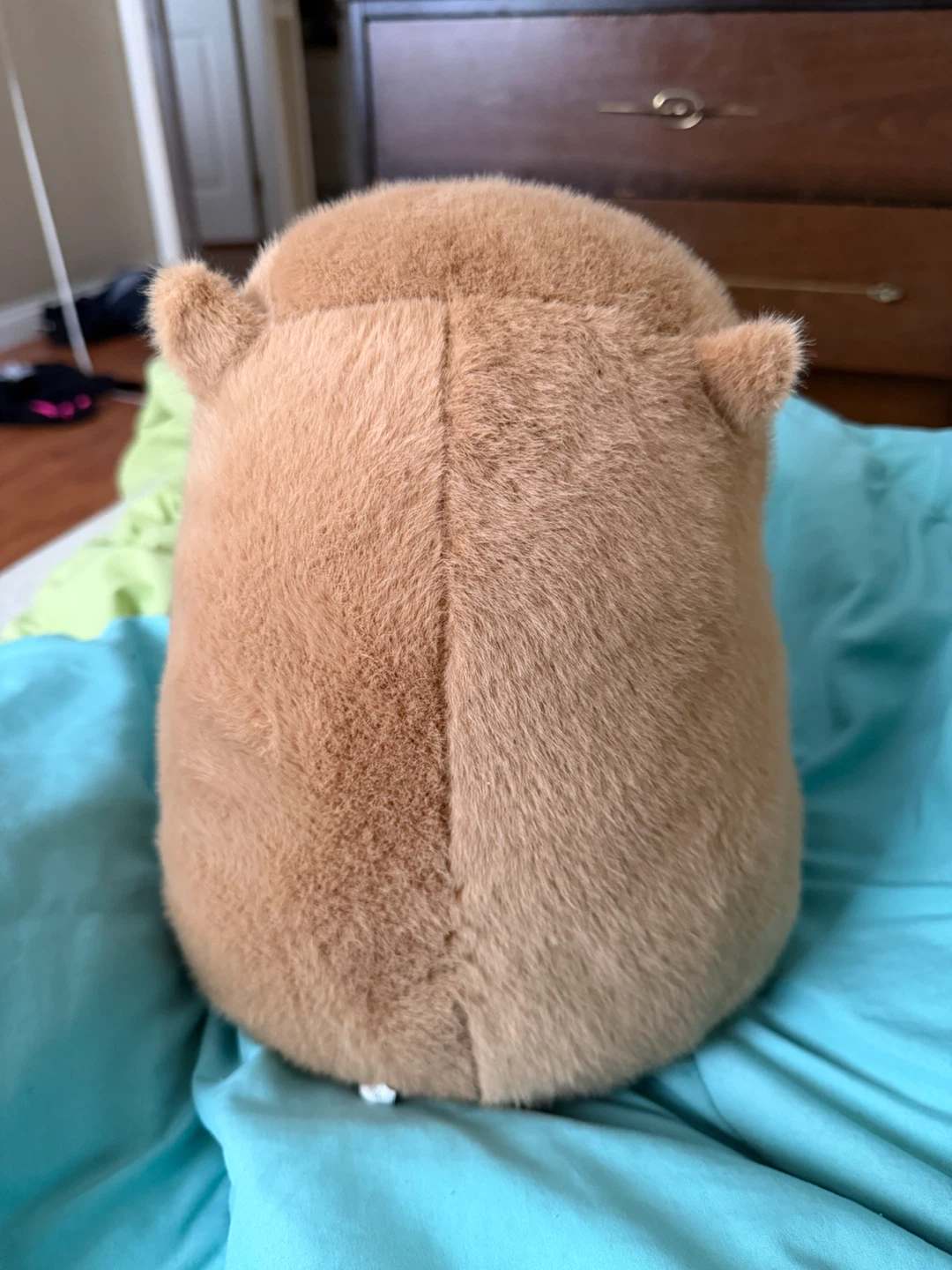 Squishmallows Capybara Plush - photo 2