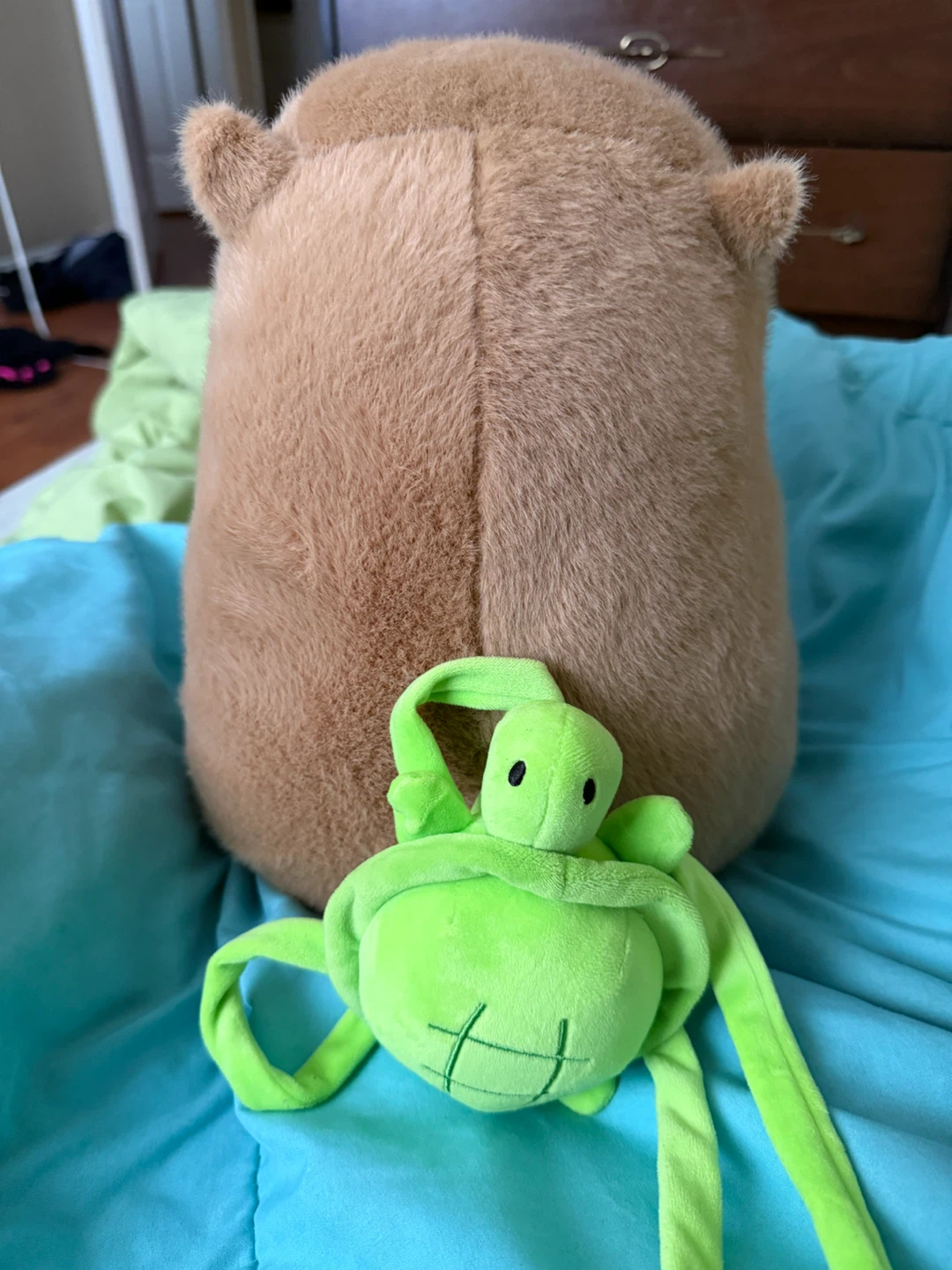 Squishmallows Capybara Plush - photo 3