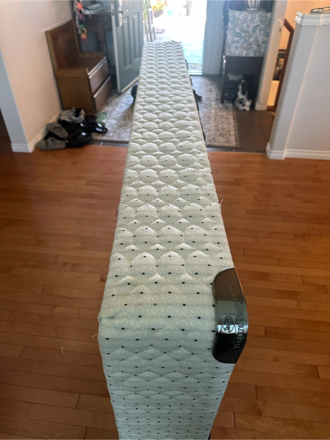 Twin Box Spring