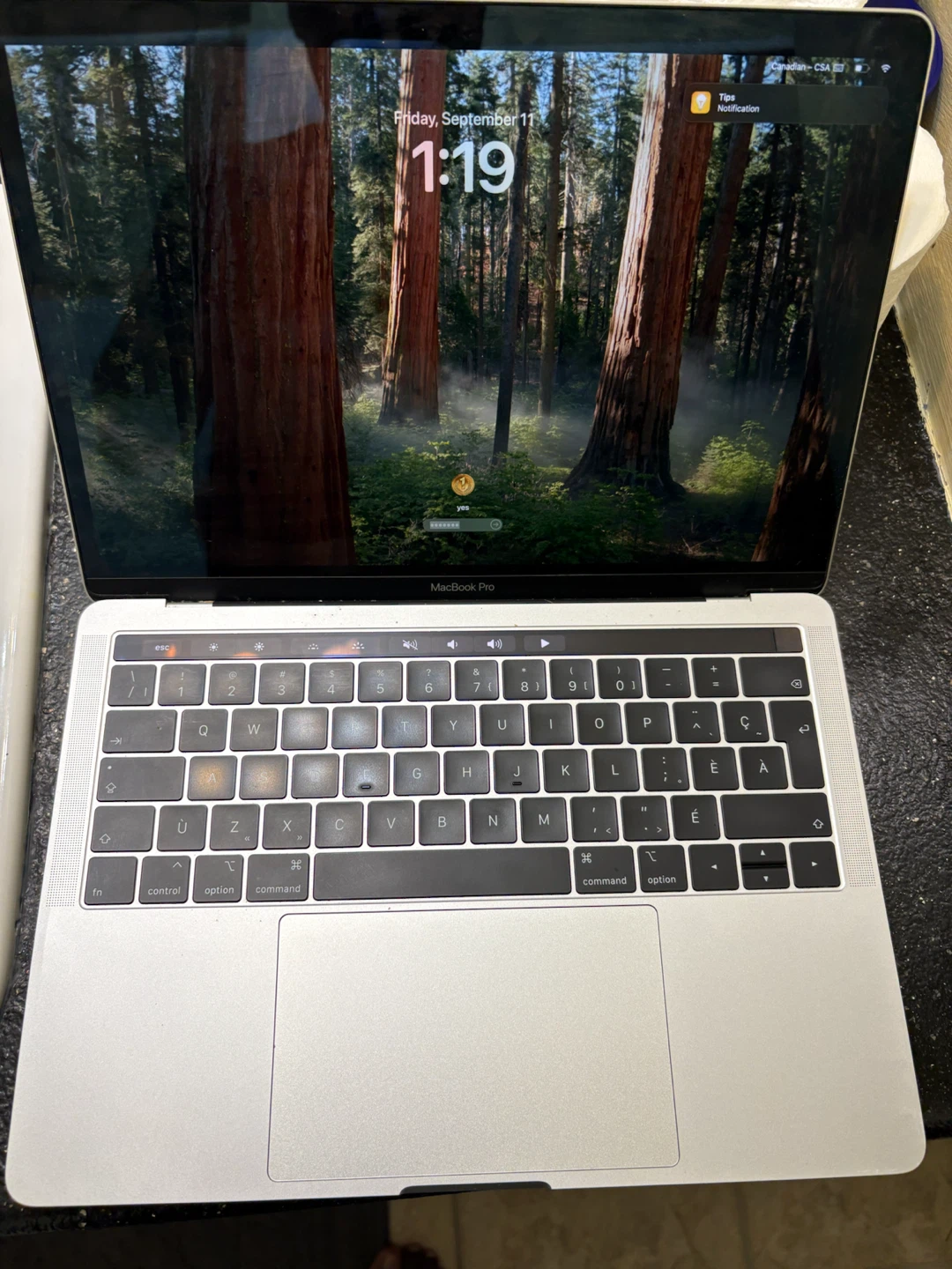 Apple MacBook Pro 2019