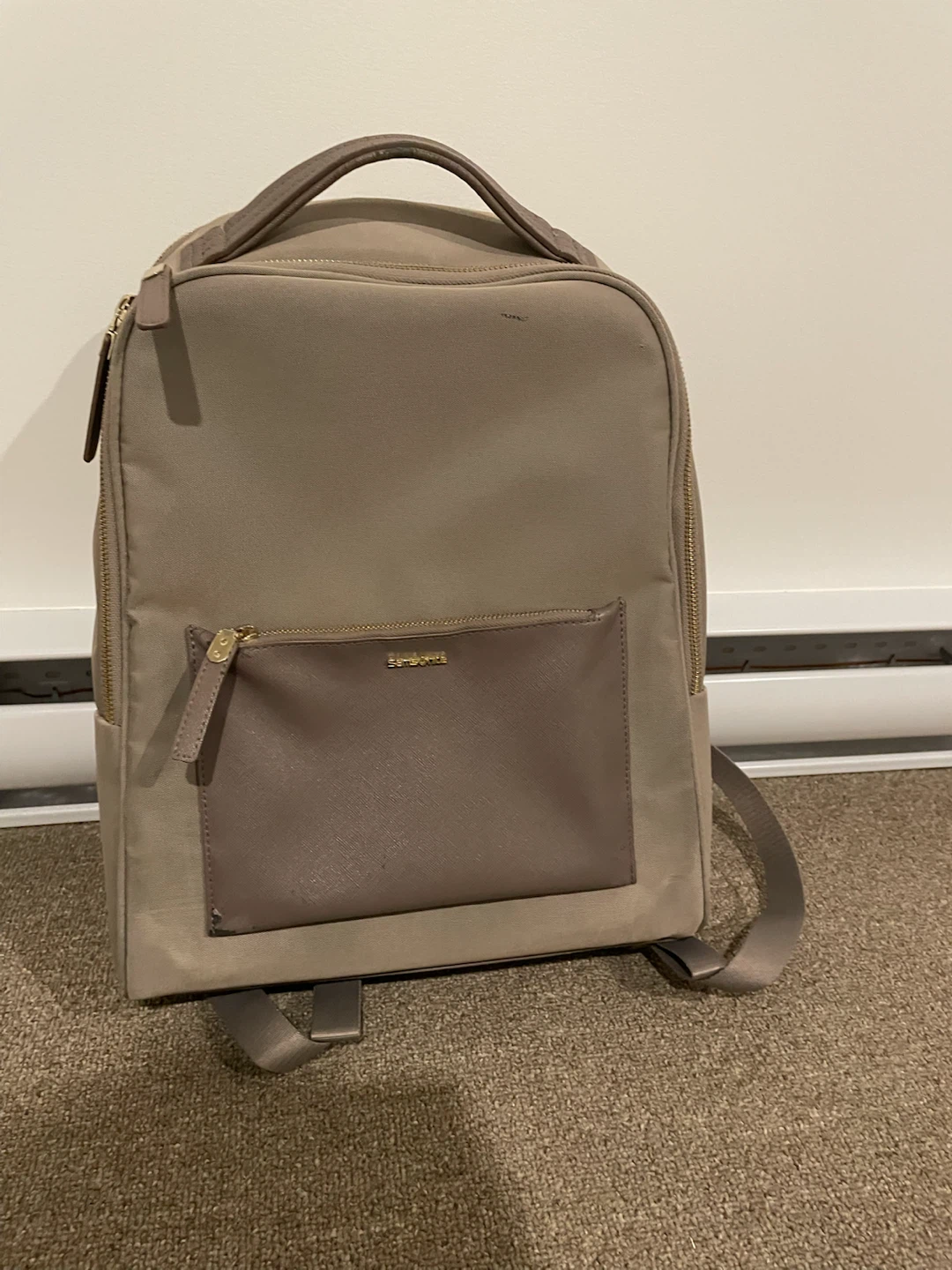Samsonite Taupe Backpack