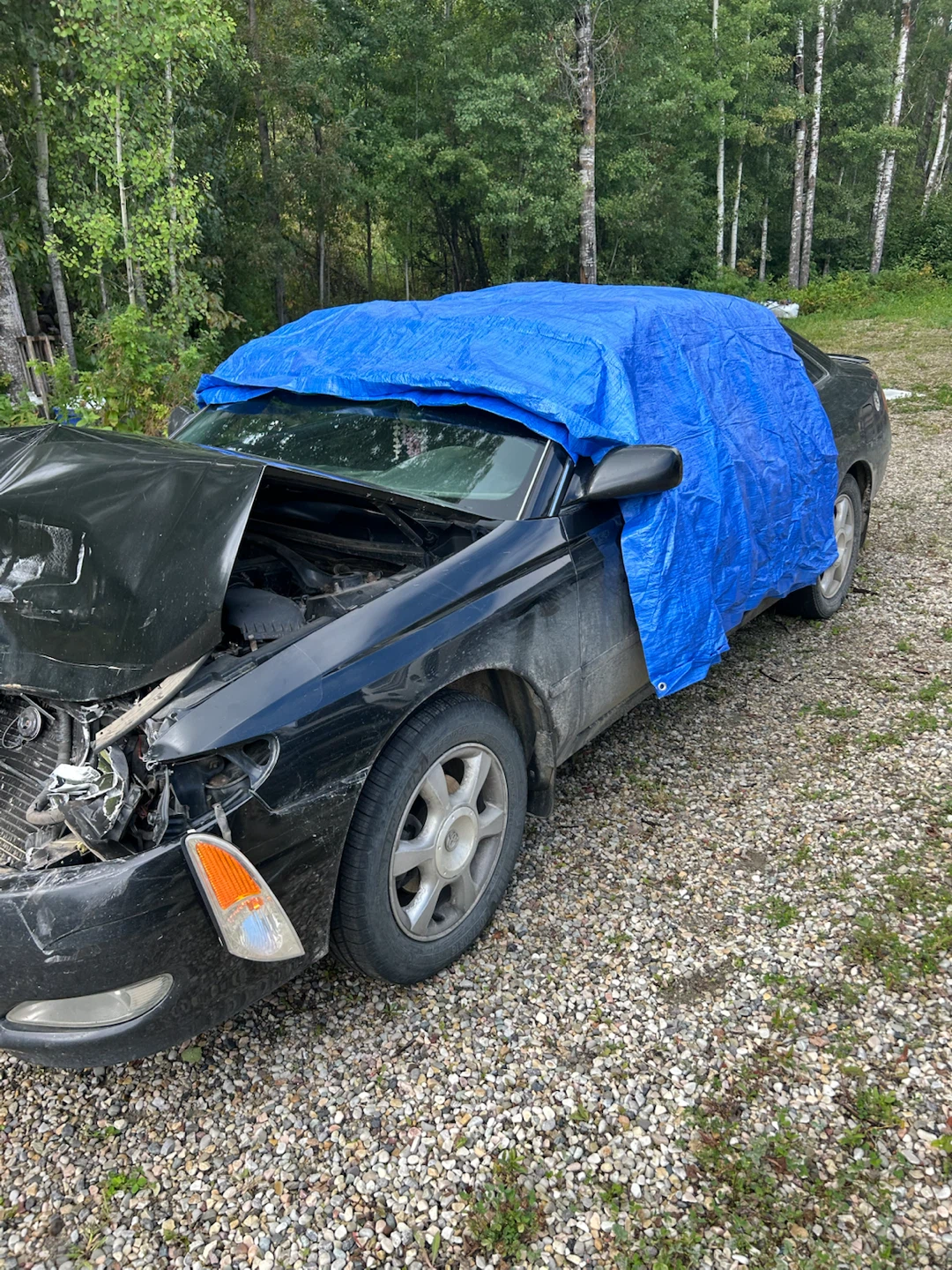 2003 V6 Toyota Solara - Selling for Parts - photo 2