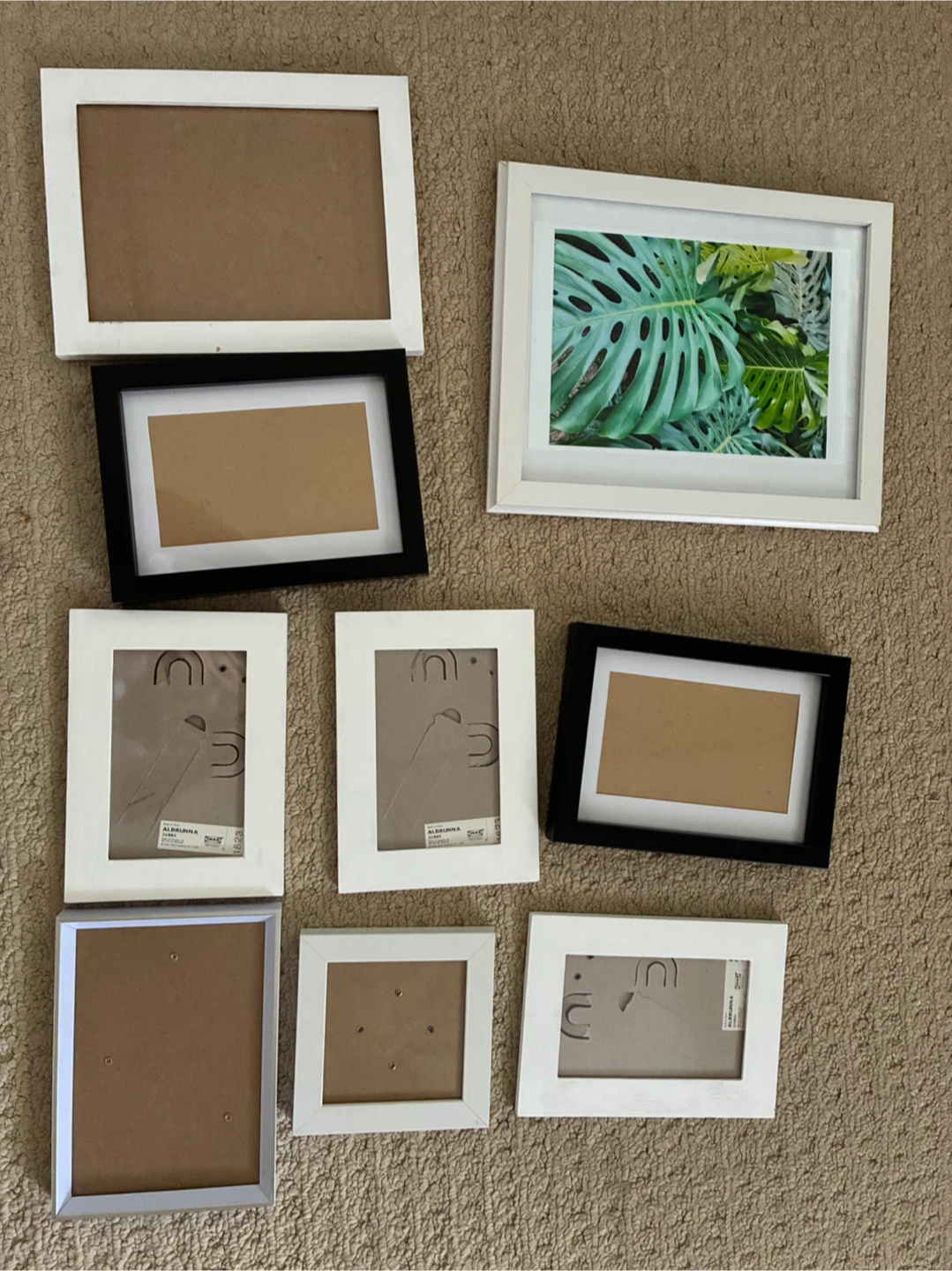 MOVING SALE: Frames