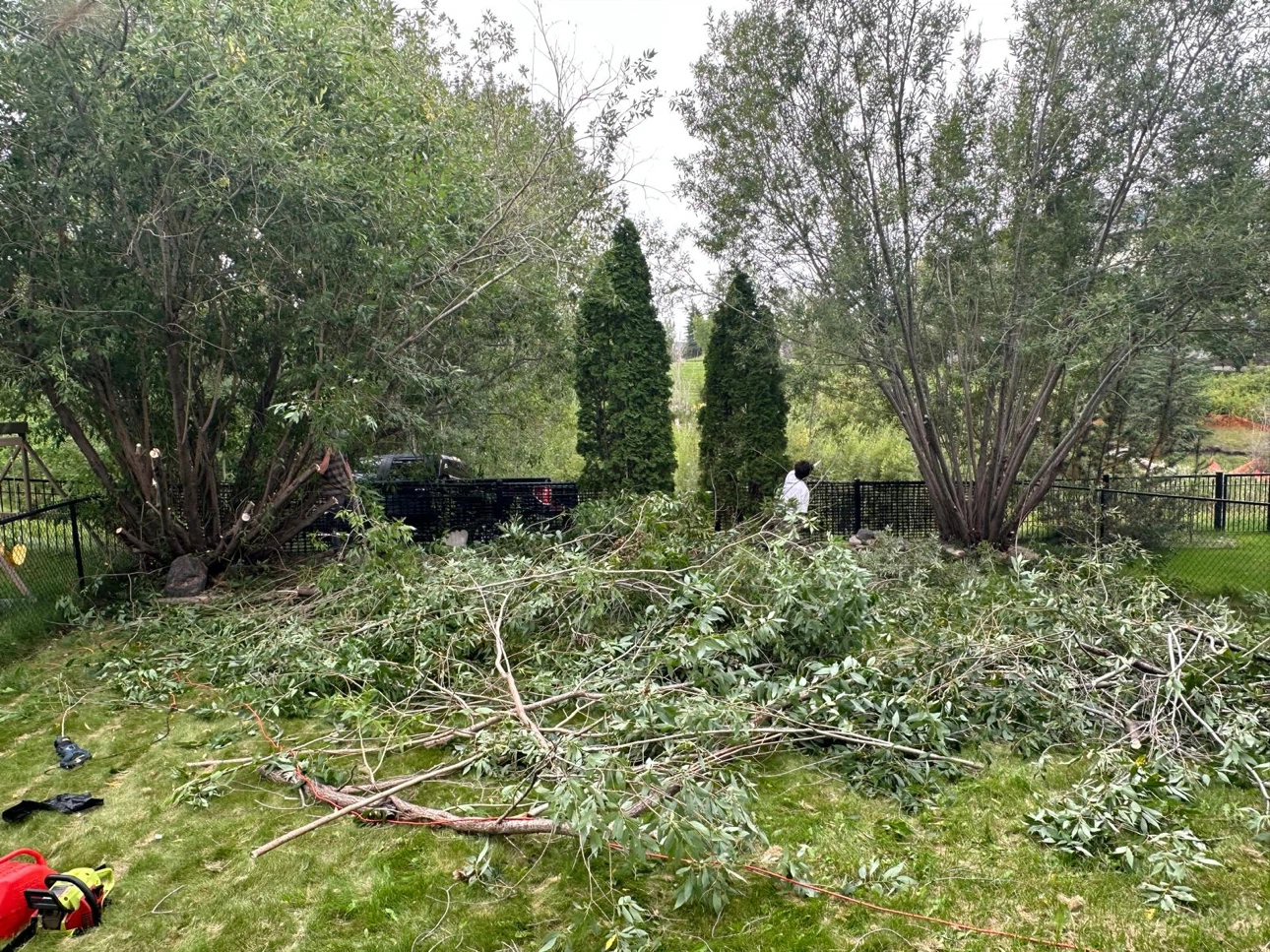 Tree Trimming & Yard Services - photo 4