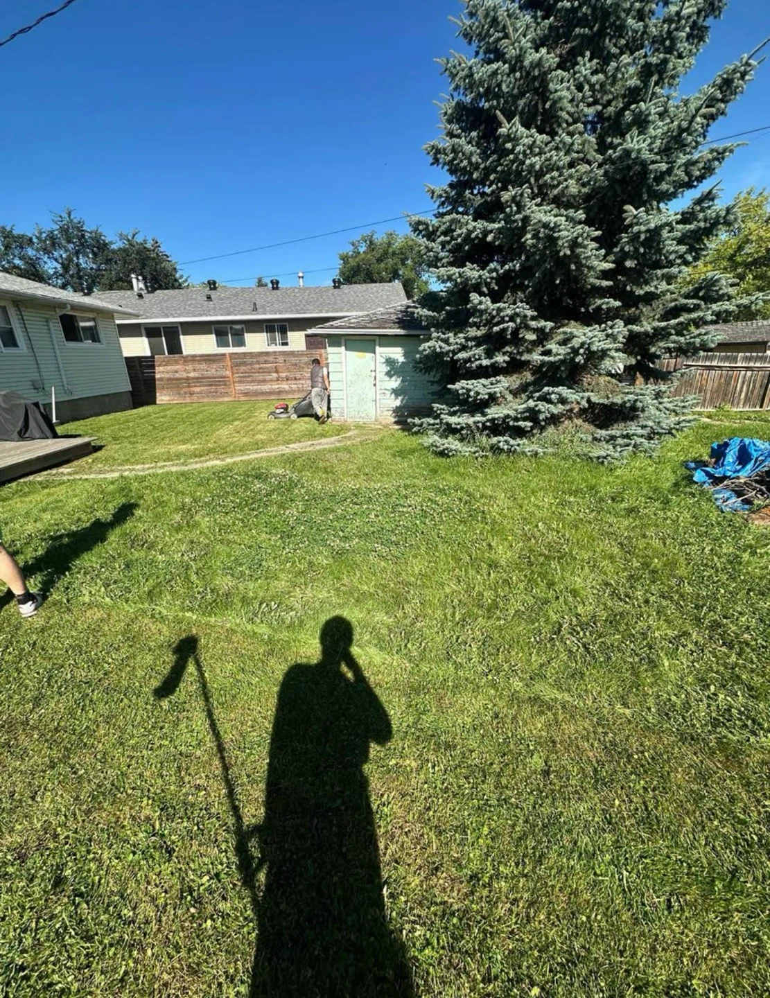 Lawn Mowing - photo 2