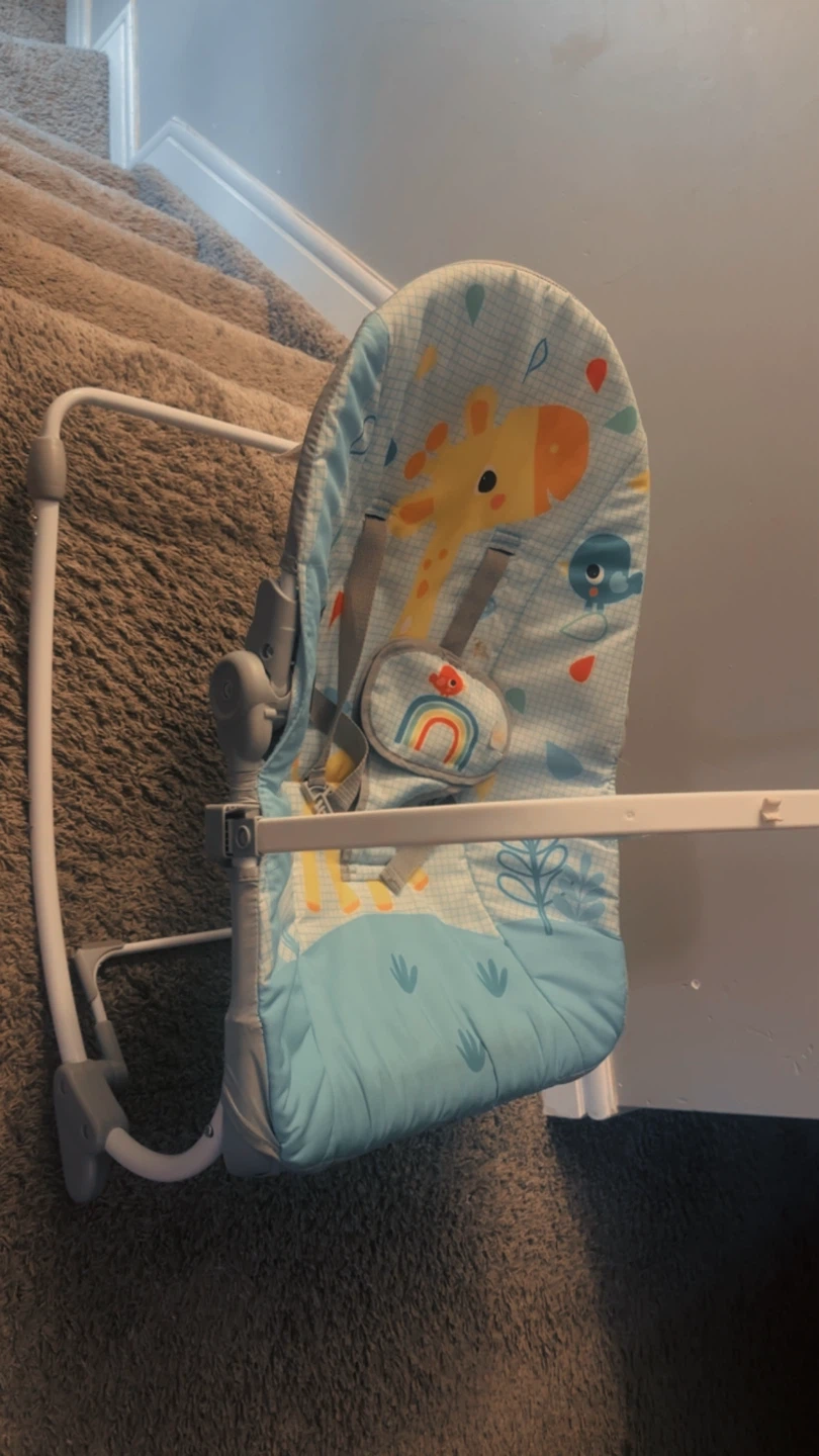 Baby Bouncer with Giraffe Print