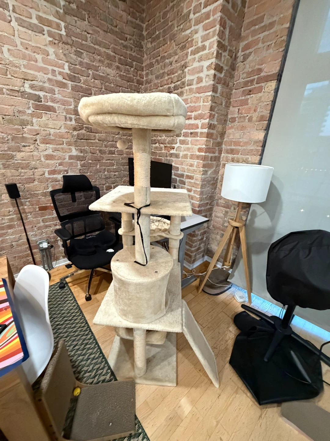 Cream Colored Multi-Level Cat Tree