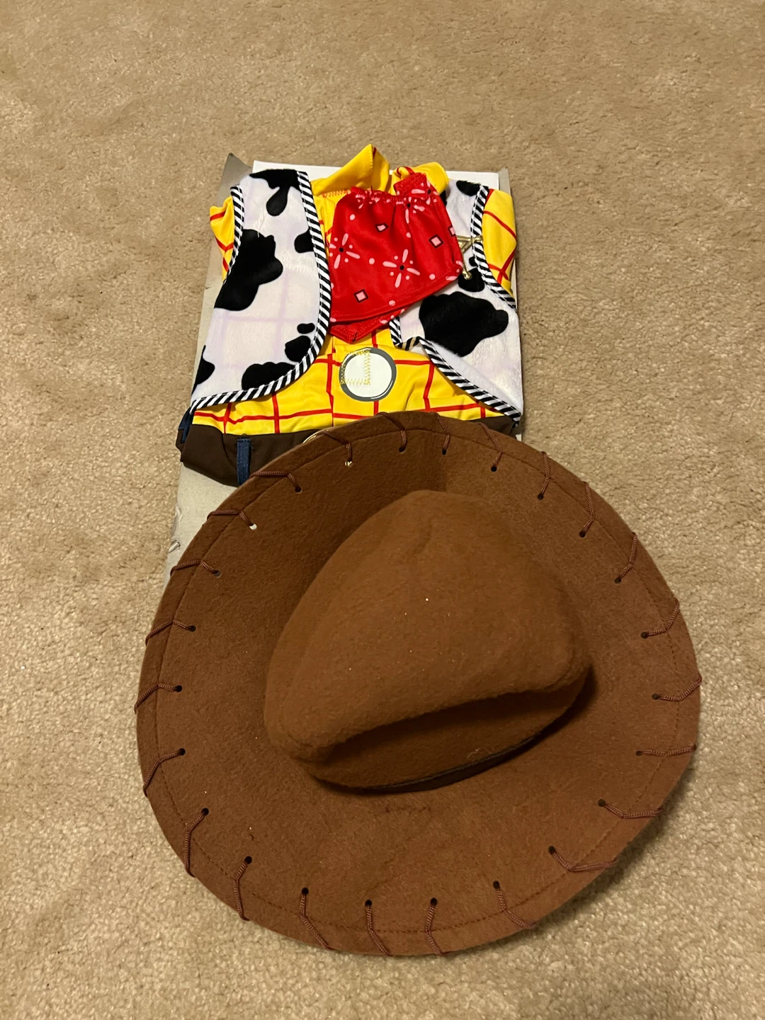 Woody costume - photo 2