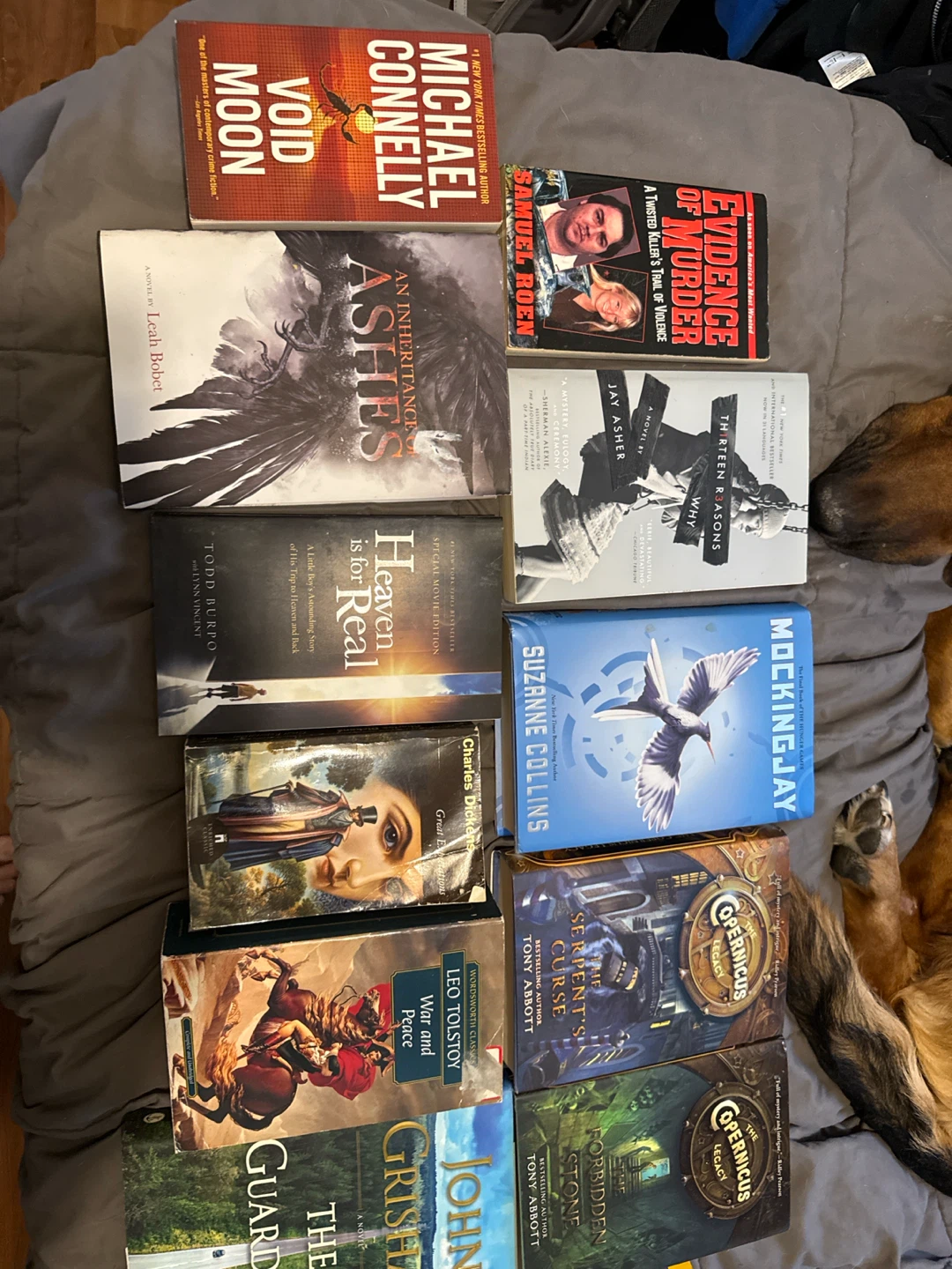 Assorted Fiction and Non-Fiction Book Collection