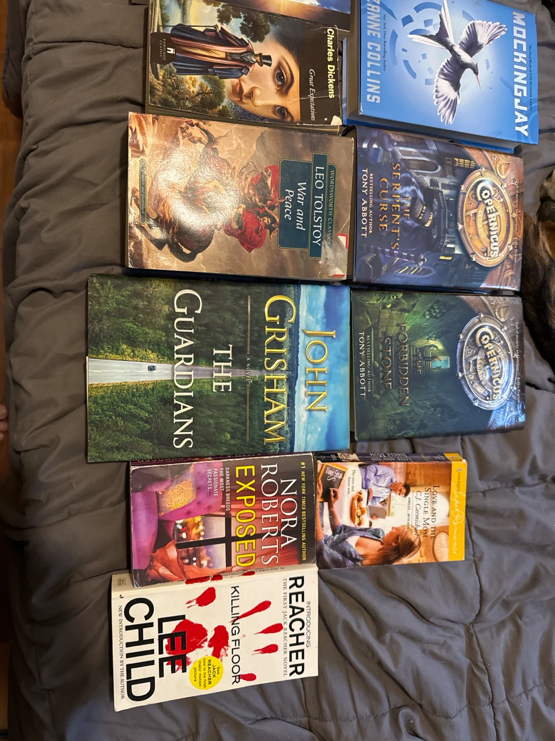 Assorted Fiction and Non-Fiction Book Collection - photo 2