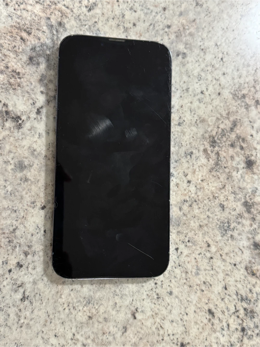 Apple iPhone 13 Pro Max - photo 4