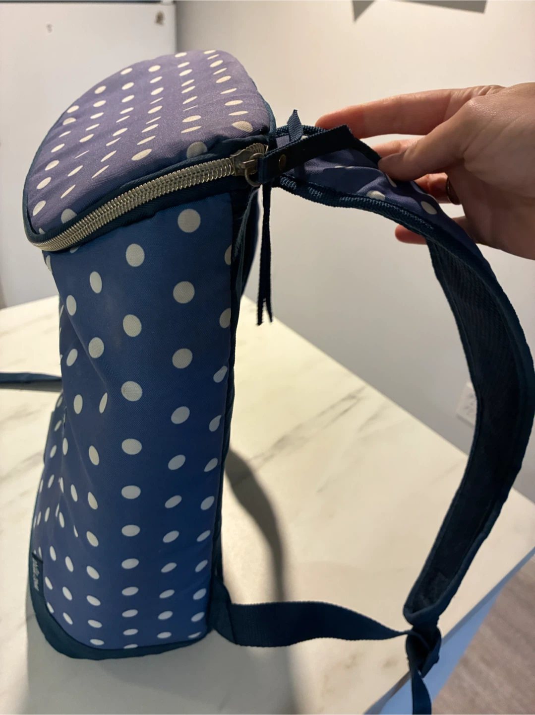 MOVING SALE : Insulated Cooler Backpack