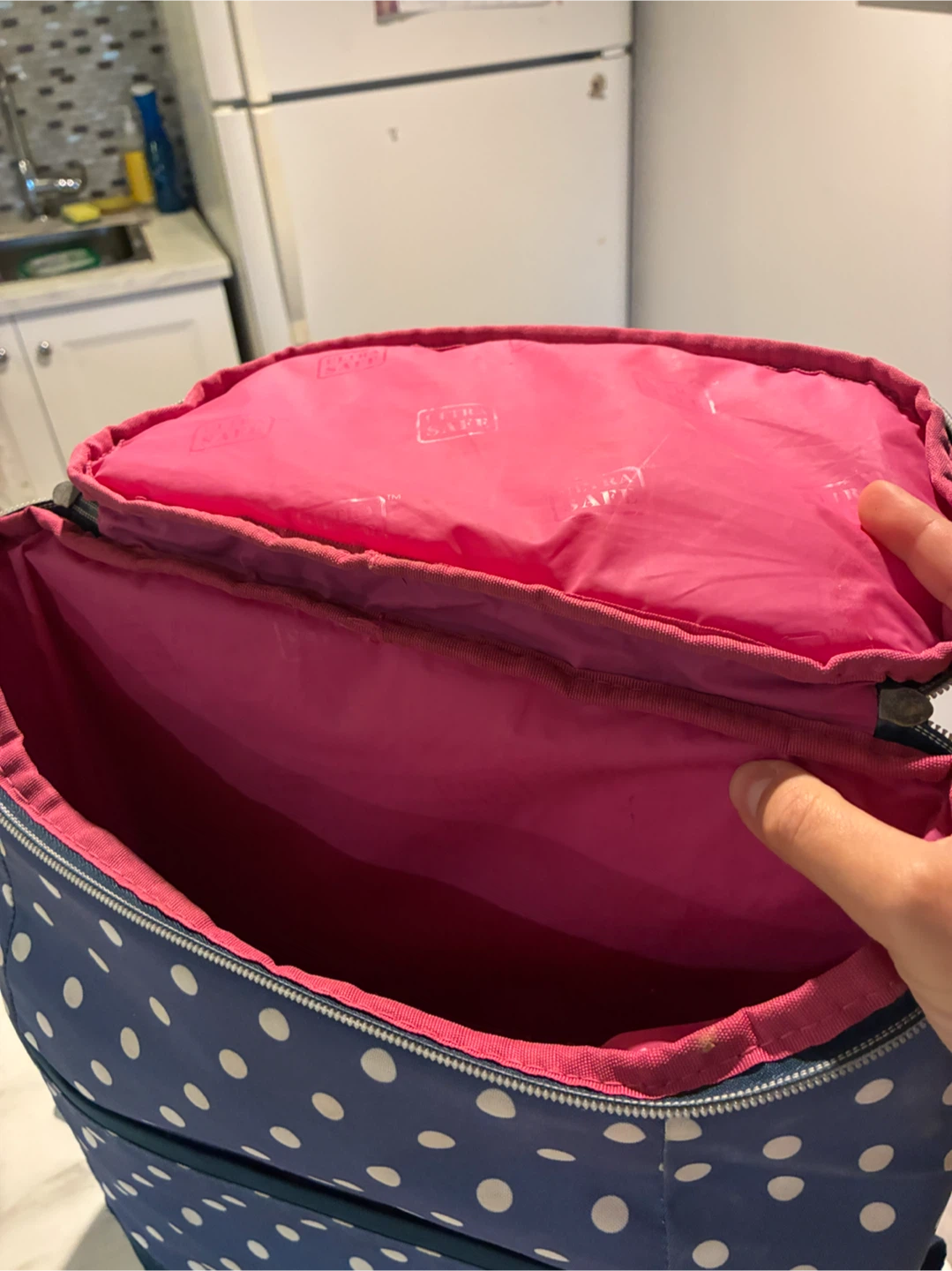 MOVING SALE : Insulated Cooler Backpack - photo 2