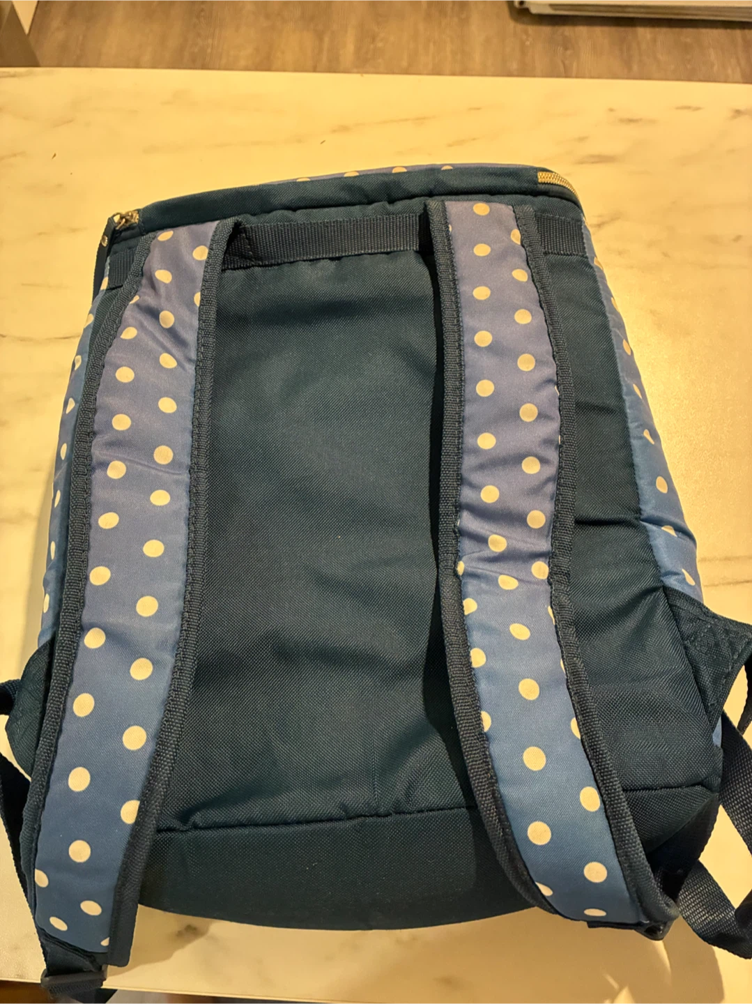 MOVING SALE : Insulated Cooler Backpack - photo 5