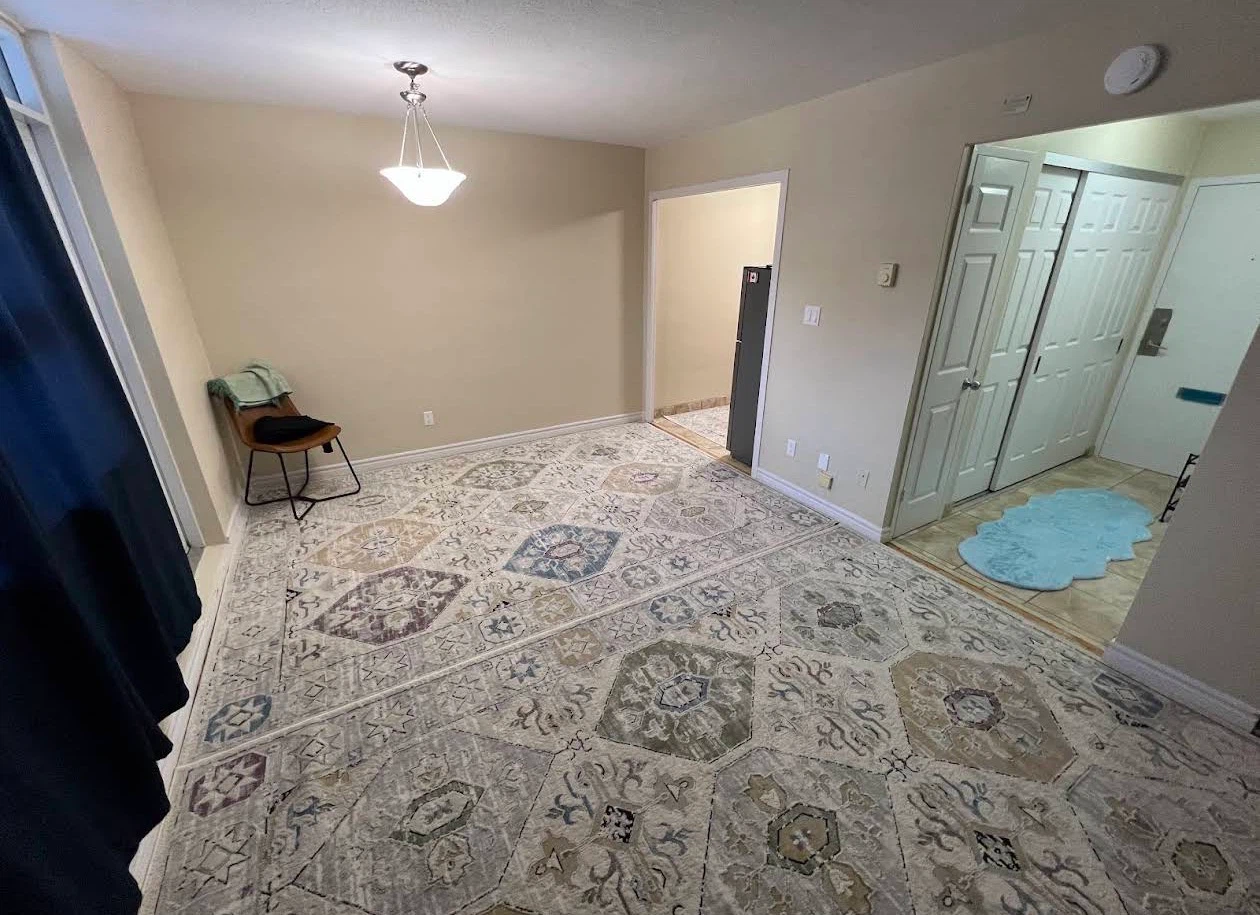 Beautiful Rug - barely Used.