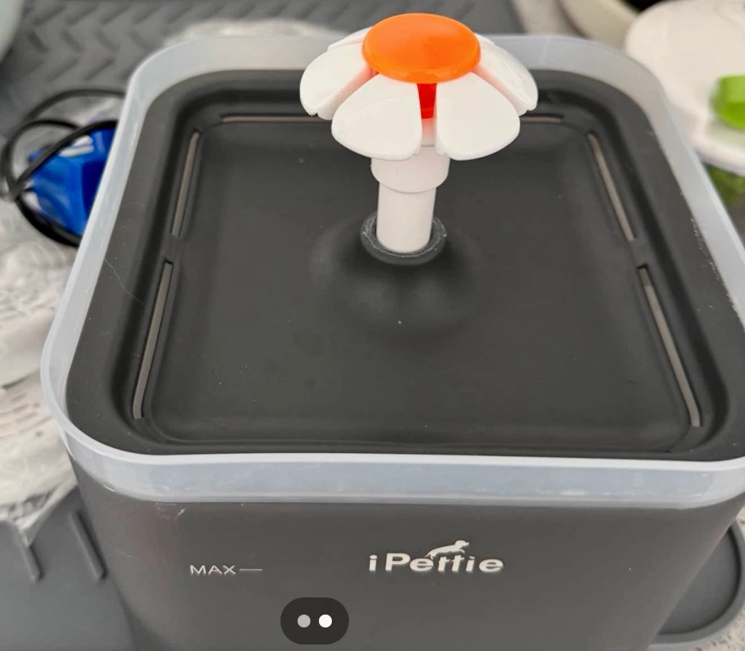 iPettie Pet Water Fountain