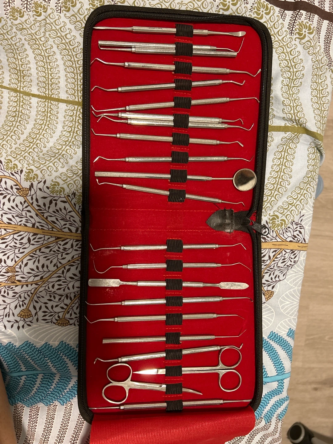 Dental Instruments Set – SS – Student / Practice Kit – $95 - photo 3