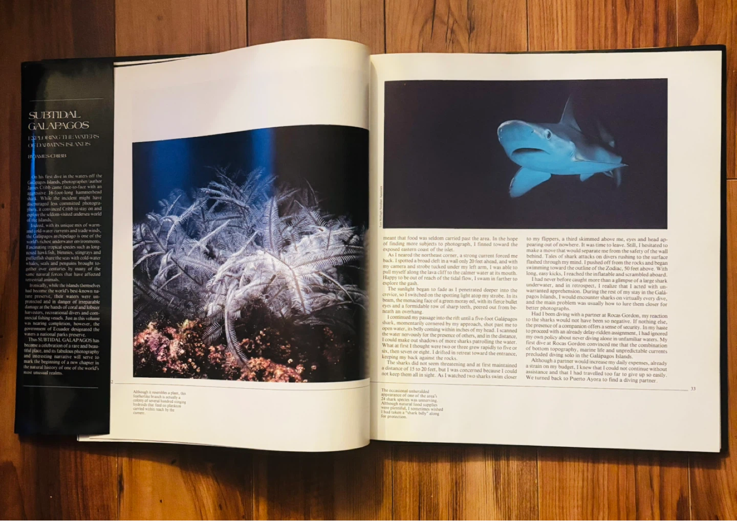 Subtidal Galapagos Hard Cover Book - photo 2