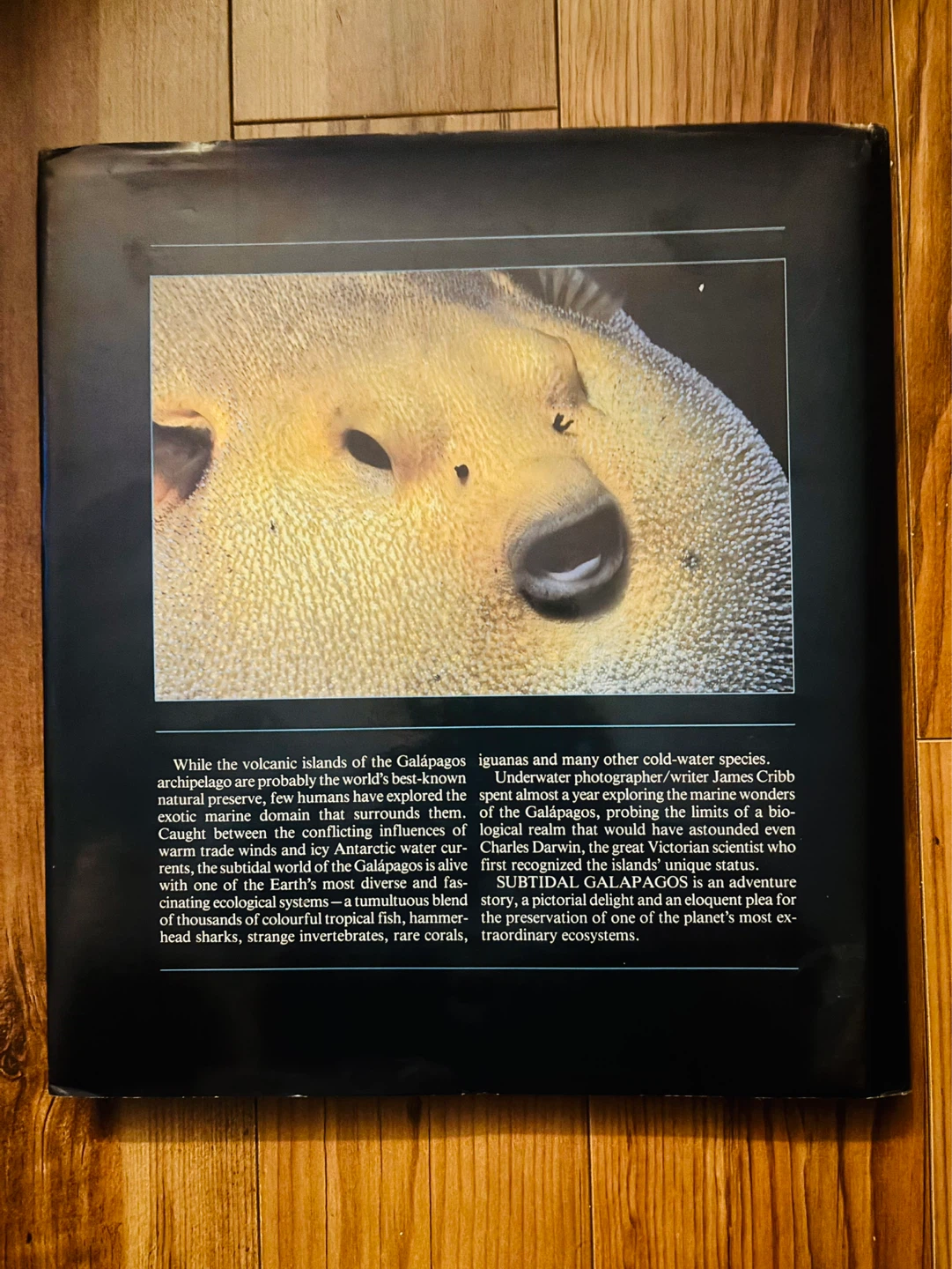 Subtidal Galapagos Hard Cover Book - photo 3