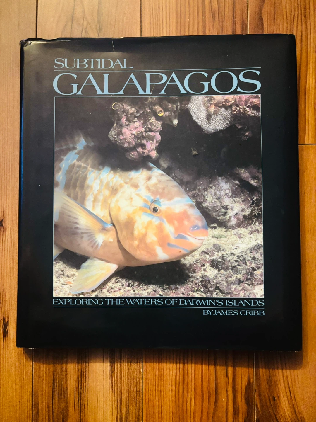 Subtidal Galapagos Hard Cover Book
