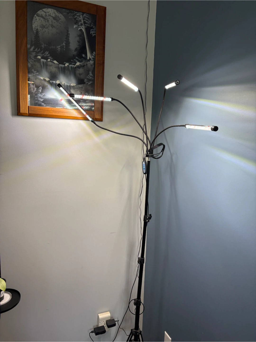 Grow lights - photo 2