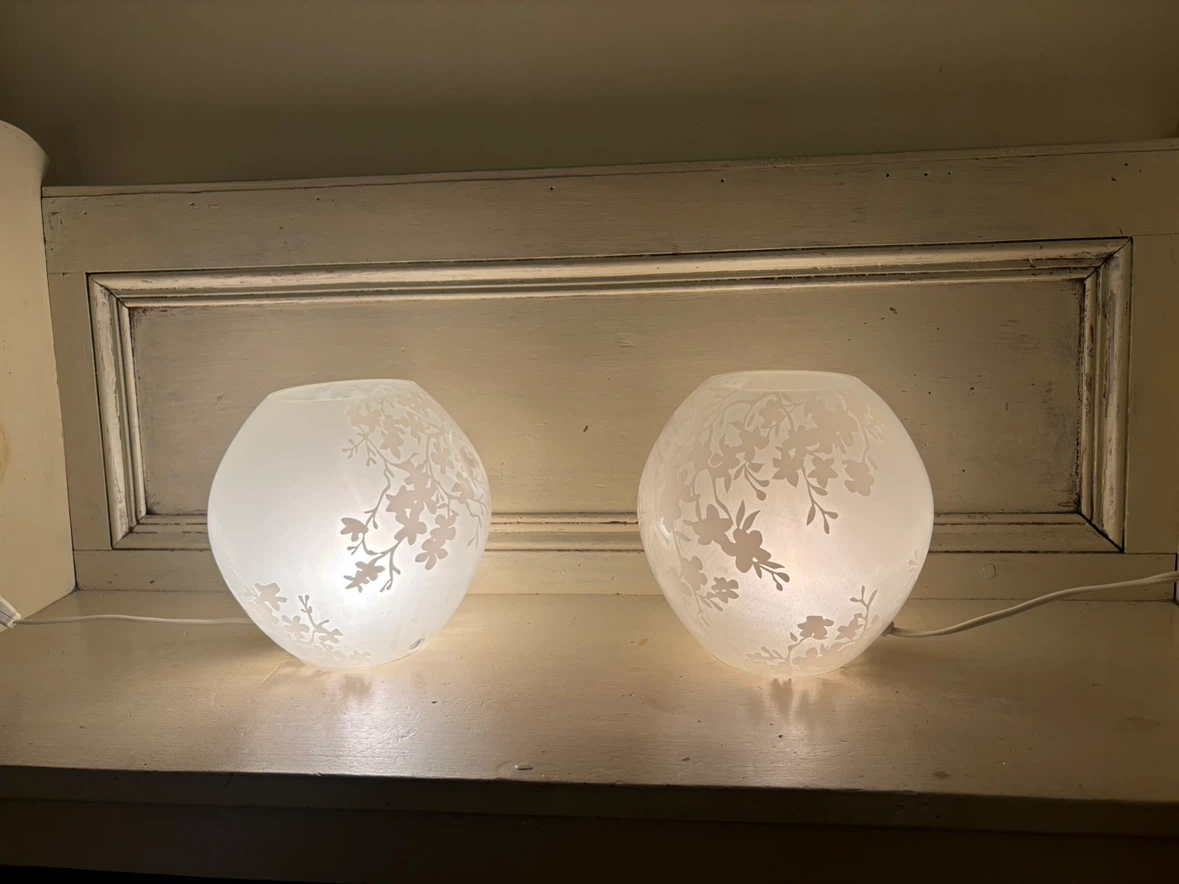 Set of Two Floral Frosted Glass Globe Lamps
